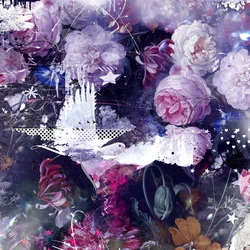 Répartir la colombe, 2016
