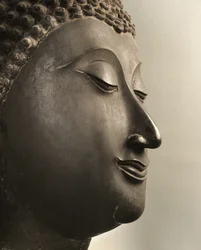Tête de Bouddha, période Sukhothai