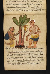 Satra. Sur la divination et les conseils pour une vie heureuse et saine (livre pliant en papier)