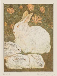 Lapins