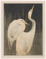 Deux hérons argentés