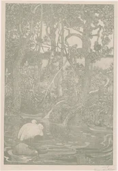 Idylle forestière