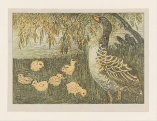 Oie avec poussins