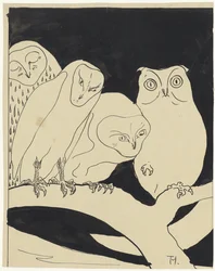 Chouettes sur une branche