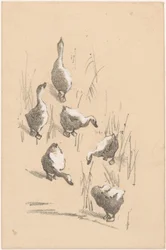 Carte de vœux avec six oies