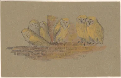 Carte de vœux avec six hiboux