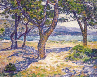 La Méditerranée à Le Lavandou