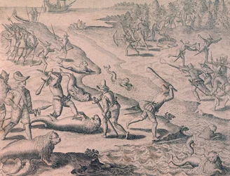 Massacre des lions de mer par les explorateurs