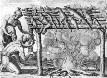 Indiens Timucua séchant de la nourriture