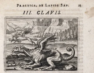 Un dragon, à l