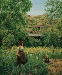 Fille dans le coquelicot