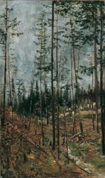Déforestation près de Gödöllö