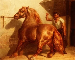 Cheval de trait chez le maréchal-ferrant