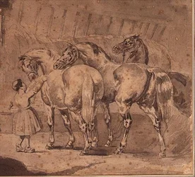 Petite fille nourrissant des chevaux dans une écurie