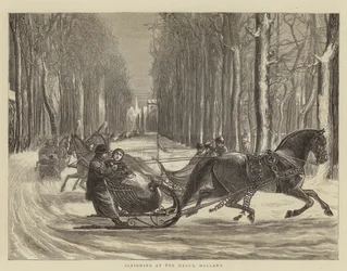Promenade en traîneau à La Haye, Hollande