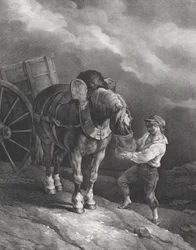 Garçon nourrissant un cheval de trait avec un sac à nez
