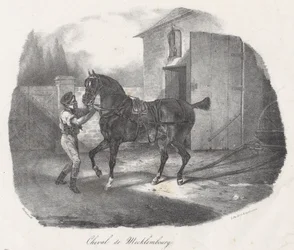 Cheval de Mecklembourg (A Mecklembourg Horse)