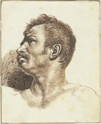 Tête d