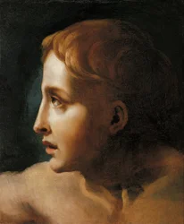 Tête de jeune homme