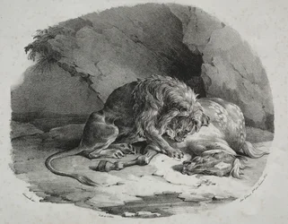 Cheval dévoré par un lion