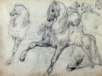Chevaux