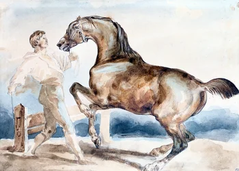 Le Dressage
