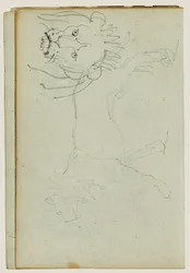 Lion en marche, visage de lion