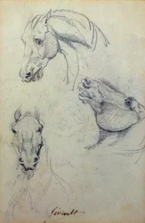 Trois têtes de chevaux