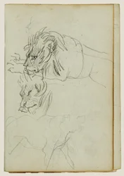 Trois études sur les lions