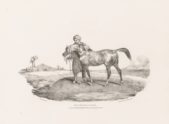 Divers sujets dessinés d