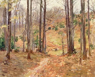 Bois de Virginie, 1893
