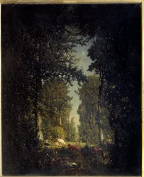 Une avenue, forêt de l