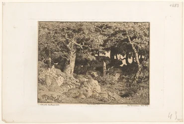 Chênes sur rochers