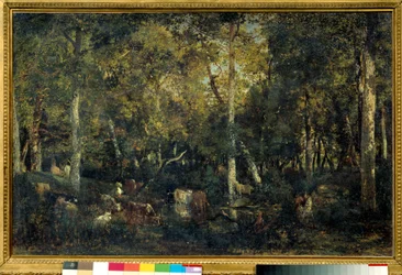 Intérieur de bois dit le Vieux Dormoir du Bas-Bréau (Forêt de Fontainebleau)