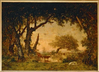 Sortie de la Foret a Fontainebleau, soleil couchant …
