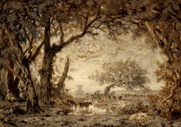 Coucher de soleil depuis la forêt de Fontainebleau