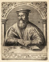 Conrad Gessner, médecin suisse