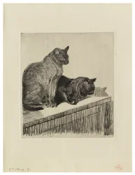 Deux chats sur un meuble
