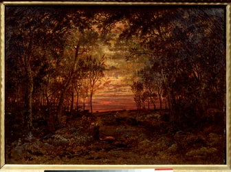 Coucher de soleil dans la forêt
