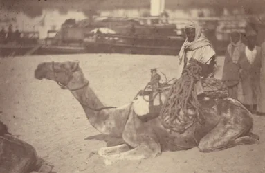 [ Un homme nord-africain sur un chameau au bord du Nil]
