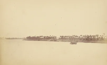 Rives du Nil avec palmiers et bateaux