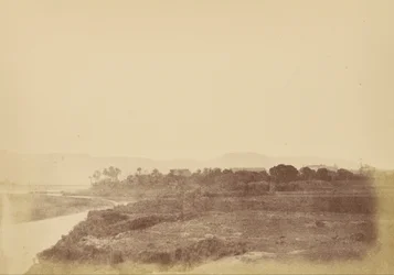 Vue d