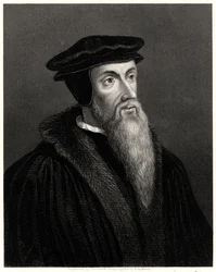 Calvin, 19ème siècle