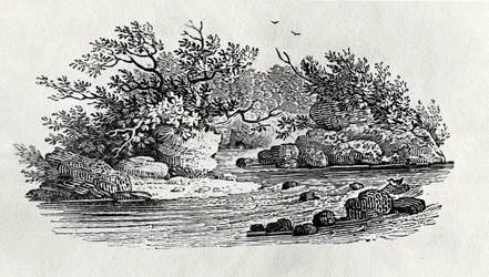 Un méandre de la rivière, de 