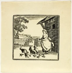 Illustration de livre