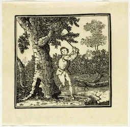 Illustration de livre