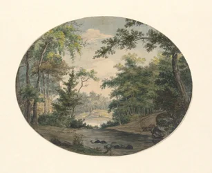 Paysage forestier
