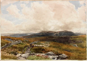 Scène de lande