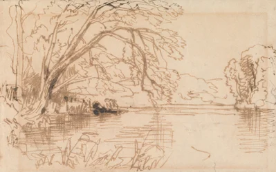 Un arbre surplombant une rivière