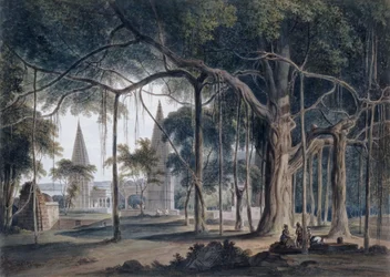 Temples hindous à Agori, Uttar Pradesh